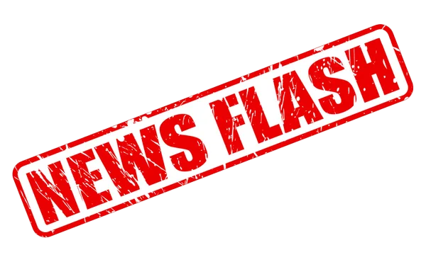Nes Flash
